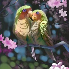 Love Birds