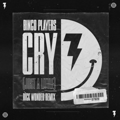 Bingo Players - Cry (Rick Wonder Remix)