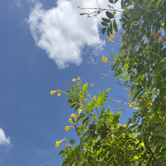 Feelin' Alive (Ft. WaveMeow)