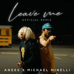 leave me remix (ft. michael minelli)