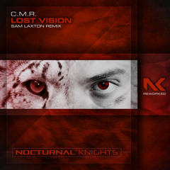 Lost Vision (Sam Laxton Remix)