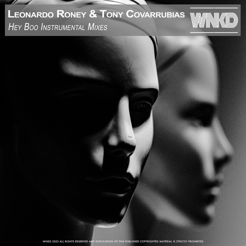 Boo Instrumental Stream Leonardo Roney & Tony Covarrubias - Hey Boo (Instrumental Mix ...