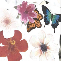 vamos a salir de esta!!!