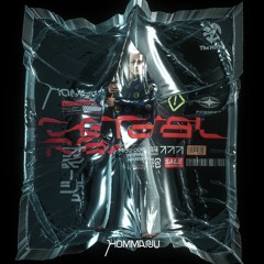 NO1Z-0015 General Ray - Hommarju (Preview)