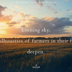 Evening Sky  ( Naviarhaiku 471 )