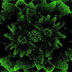 SUNSET ( Turbo's Cut ) prod. LAKOS