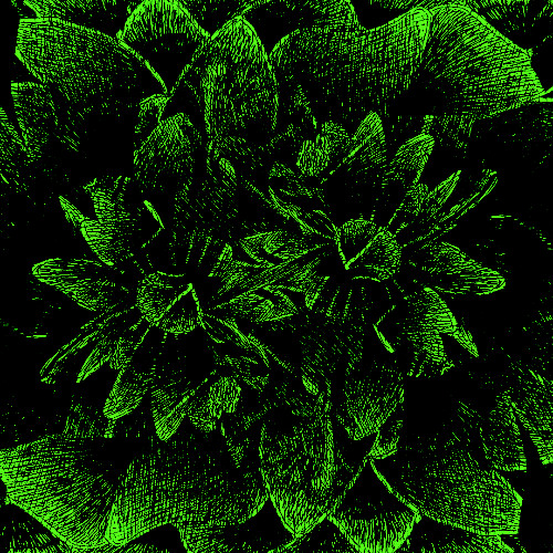 HALFWAY DOWN ( Turbo's Cut ) prod. LAKOS