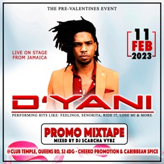 100% Dyani Promo Mix