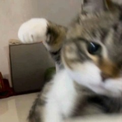 邓紫棋 _ 泡沫 _为什么难过_ _DJ抖音版 2025_ Bong Bóng _Remix Tiktok_ _ Đặng Tử Kỳ _ ProgHouse Mix国语女_Audio
