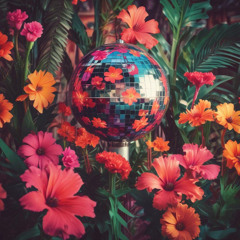 1. Introduction (House)