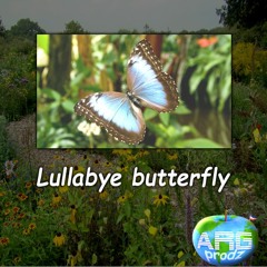 Lullabye butterfly