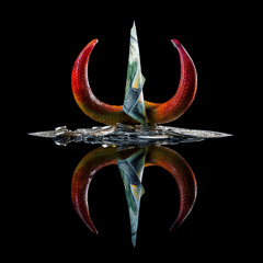 17 - Emry, Fuat Iyicaliskan - System [Species Records]