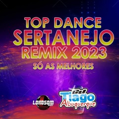 sertanejo mix 2023e2024