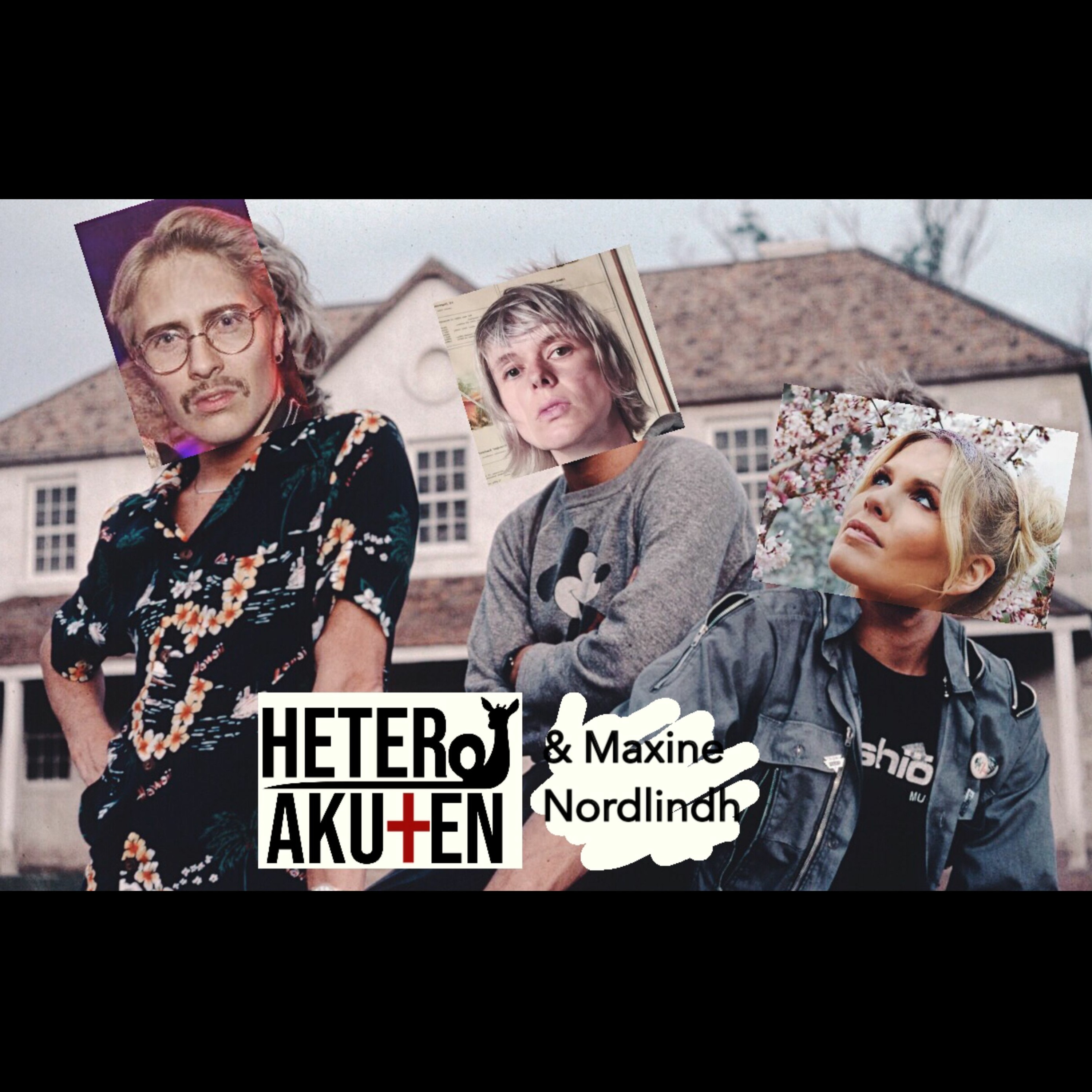Heteroakuten