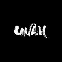 BLACKPINK - Pink Venom(UANM VIP MIX)
