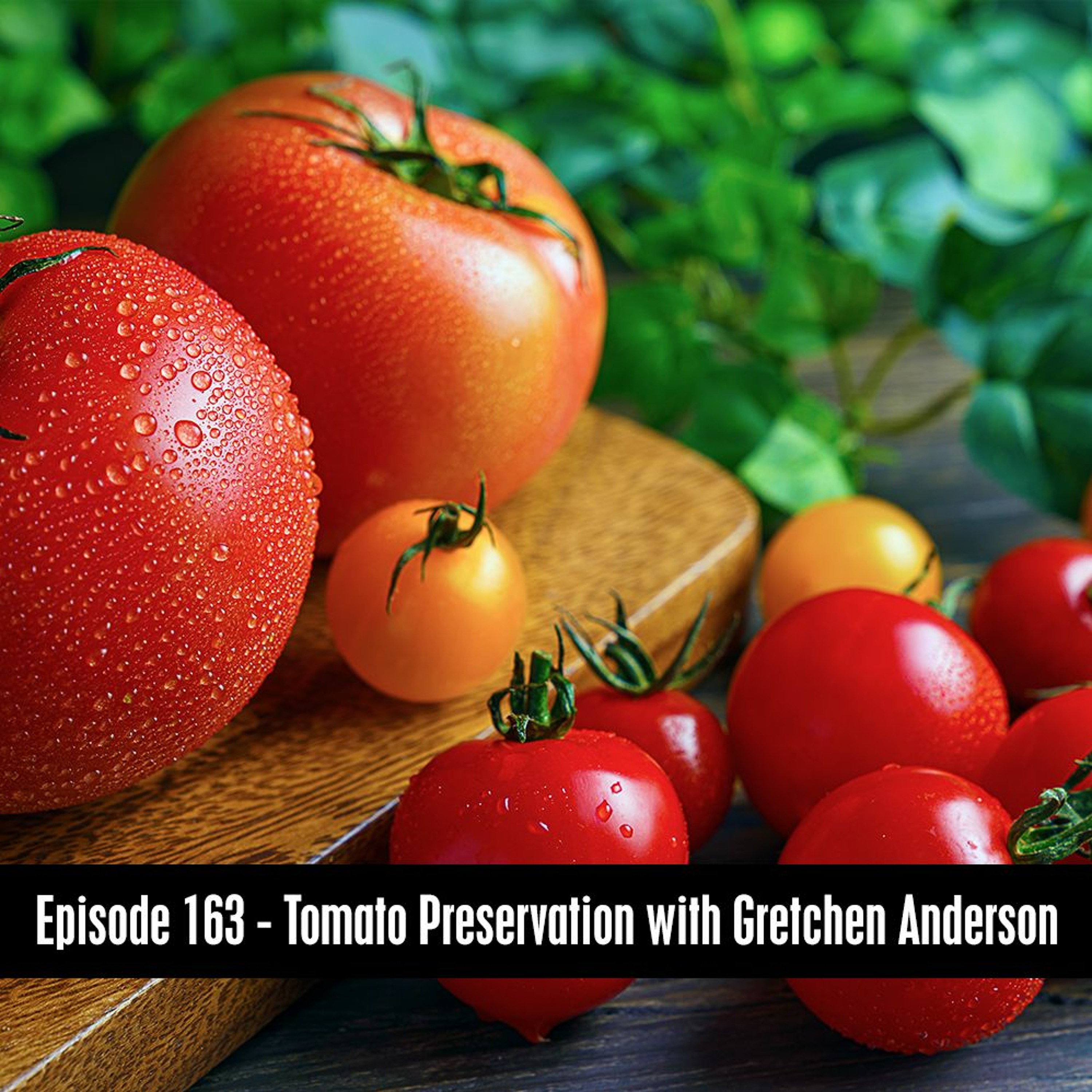 Episode 163 - Tomato Preservation with Gretchen Anderson