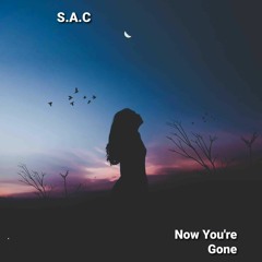 S.A.C Now You`re Gone