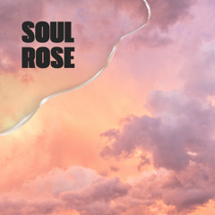 SOUL ROSE - SAMPLE PACK | PRODUCER-KIT.COM