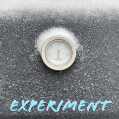 Experiment