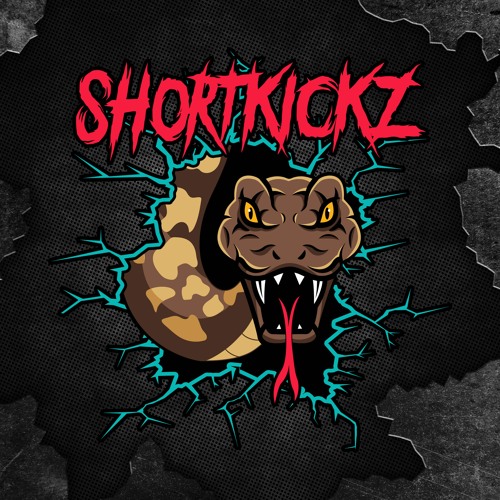 THE DESTROYER - FOOD FOR THE KEYBOARD Mixed By SHORTKICKZ