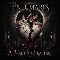 A Beautiful Fracture artwork
