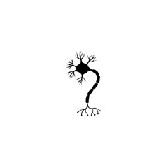 terminal lucidity