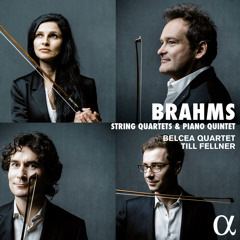 String Quartet No. 1 in C Minor, Op. 51: III. Allegretto molto moderato e comodo
