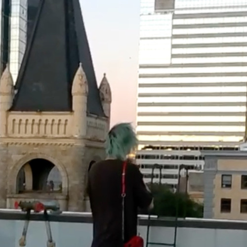 shouiyo - venting (cranes)