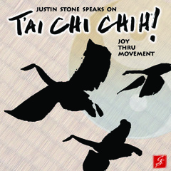 Justin Stone Speaks on Tai Chi Chih - Track 2
