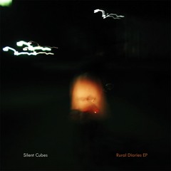Silent Cubes - Neon Rain
