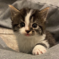 Nothing Came Out the Way I Thought