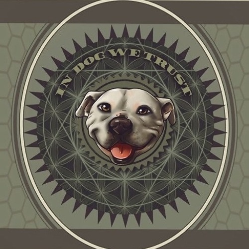 Cybernetic Ghost - Woo Mix 2025