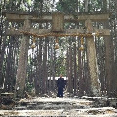 tr.03 幸福の化学