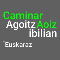 AGOITZ IBILIAN TRACK 3