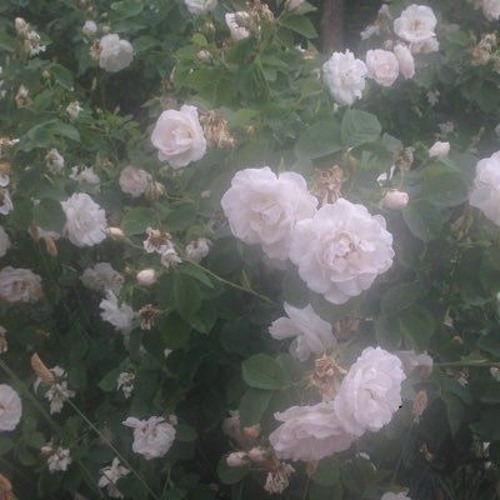 런치 (LUNCH) - 어떻게 지내 (답가) 가사ㅣLyricㅣsmay.mp3