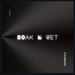soak n wet