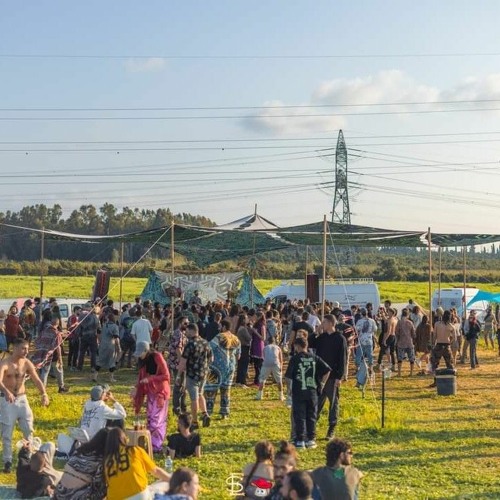 🍄MYCOLAND - ALL TIME SETS🍄