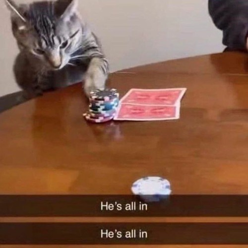 يمارس الجنس مع الزنوج