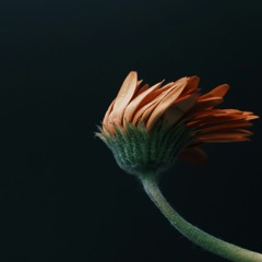 انتظار مقدس -15