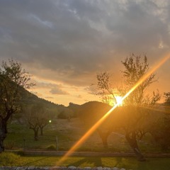 MagicMax@RealityUpgradeRetreat_MushroomMix_Pt2