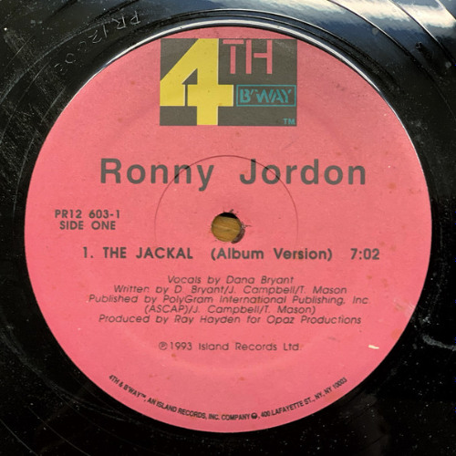 The Jackal - Ronny Jordon ( OTTAVIO EDIT 'D VERB' ) [Free Download]