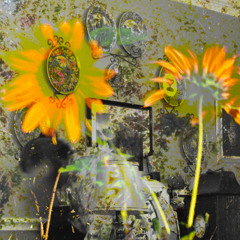 sunwhere (club de sol /david chesky)