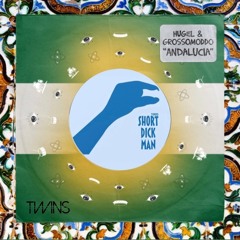 Hugel & GROSSOMODDO - Andalucia x Short Dick Man (TWINS Edit)