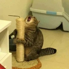 chchchayayayayayyyyy