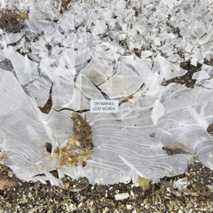 The Year Of The Rabbit (Bonus Track) [feat. Alan Licht, Tara Jane O'Neil & Ken Vandermark]