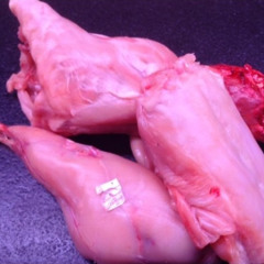 Roots Manuva - Evil Rabbit VS Mischluft - Outside Those Doors