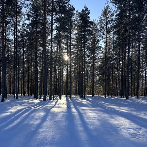 Mix-1 (3 Work in progress)