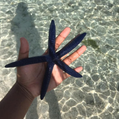 𝓢𝓮𝓻𝓮𝓴𝓪 𝓜𝓪𝓲 🎶