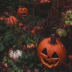 SOULBER OCTOBER