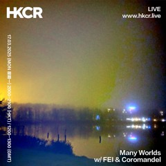 Many Worlds w/ FEI & Coromandel - 17/03/2025